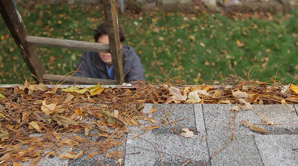 Gutter Cleanout