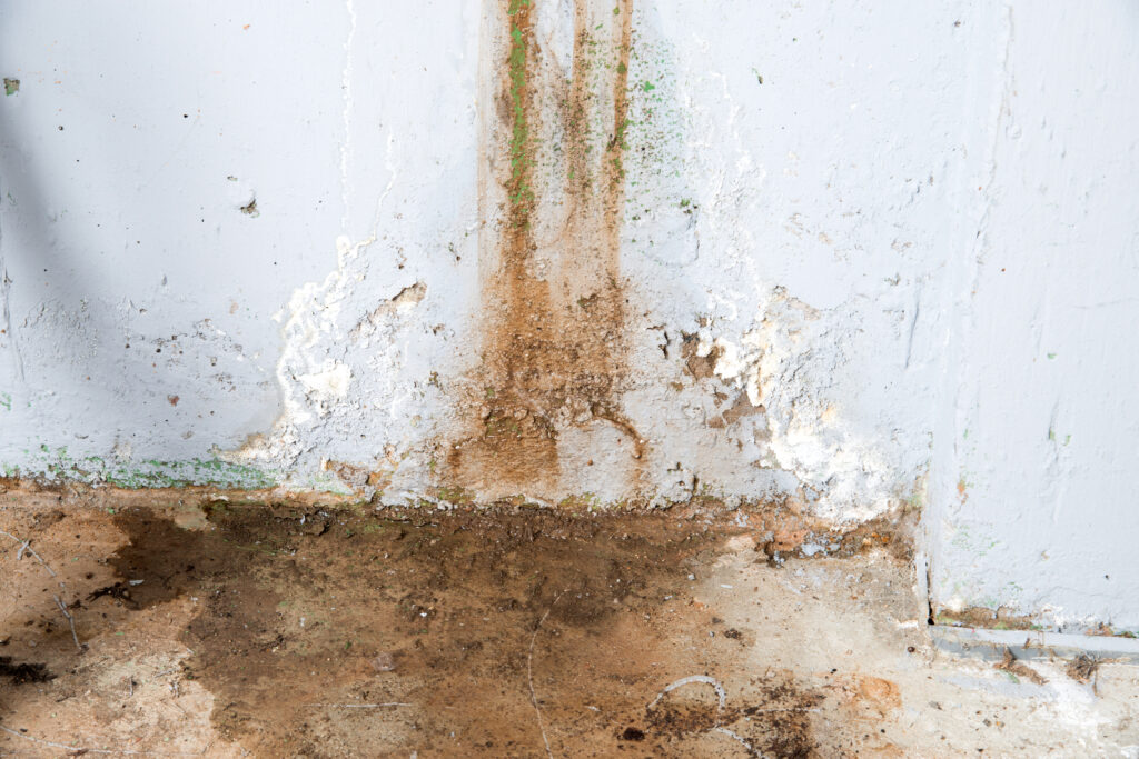 Leaking Basement Wall
